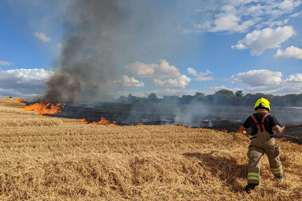 Bedfordshire field fire