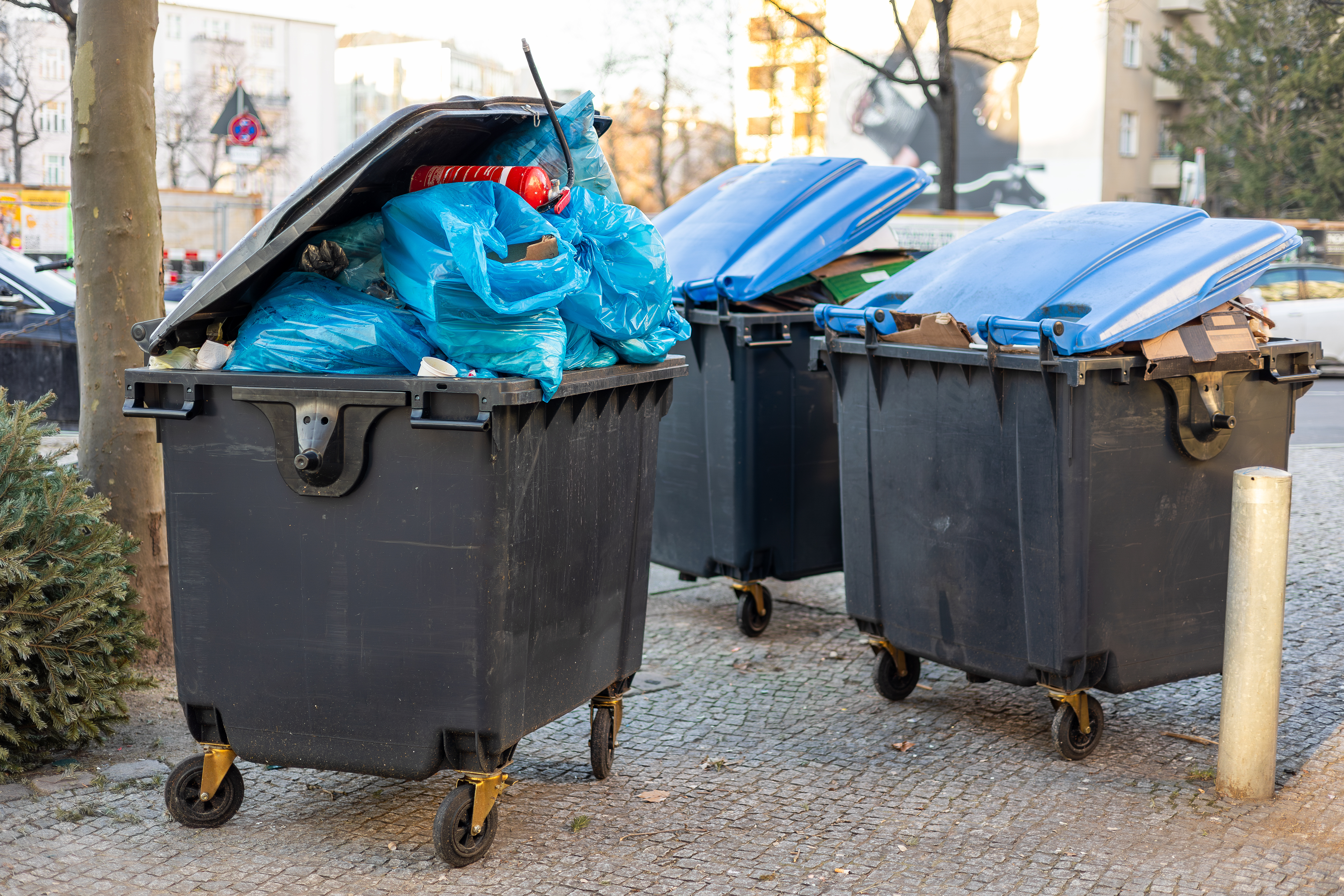 Photo of over filled commercial bins out in the open, close to trees, shrubs, buildings
