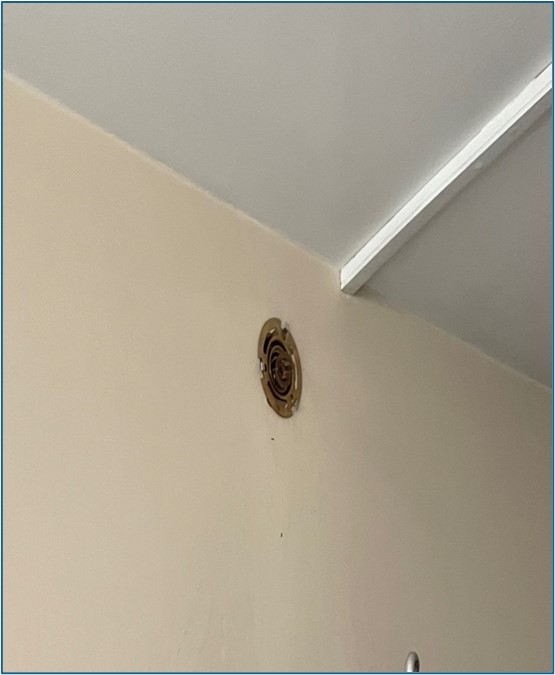 Photograph of sprinkler at Roise Court.